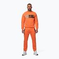 Vyriškas džemperis Pitbull USA Crewneck Sweatshirt fluo orange 2