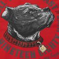 Vyriškas džemperis Pitbull Strenght & Respect Sweatshirt Hooded red 9