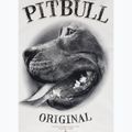 Vyriškas džemperis Pitbull Midnight Sweatshirt Hooded off white 9