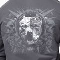 Vyriškas džemperis Pitbull World Sweatshirt Zip Hooded graphite 5