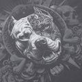 Vyriškas džemperis Pitbull World Sweatshirt Zip Hooded graphite 11