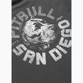 Vyriški marškinėliai Pitbull Dog SD graphite 9
