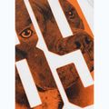 Vyriški marškinėliai Pitbull Eighty Nine Dog Tank Top white 10