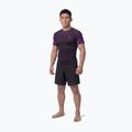 Vyriški marškinėliai Pitbull Belt Rashguard purple 2
