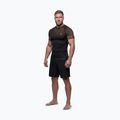 Vyriški marškinėliai Pitbull Belt Rashguard brown 2