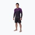 Vyriškas ilgomis rankovėmis rashguardas Pitbull Belt Rashguard purple 2