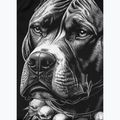 Vyriškas ilgomis rankovėmis rashguardas Pitbull Blacky Rashguard 8