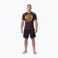 Vyriški marškinėliai Pitbull Rashguard Logo Palms brown 2