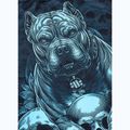 Vyriški marškinėliai Pitbull Mesh Guardian Angel black 7