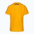 Vyriški marškinėliai Pitbull Palms mesh yellow logo 5