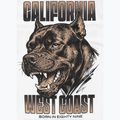 Vyriški marškinėliai Pitbull Best Coast white 11