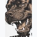 Vyriški marškinėliai Pitbull Best Coast white 12