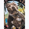 Moteriški marškinėliai Pitbull Beach Girl black 11