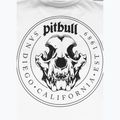 Vyriški marškinėliai Pitbull O'Side Skull white 9
