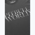 Vyriški marškinėliai Pitbull World graphite 4