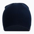 Vyriška žieminė kepurė 4F CAM002 navy 2