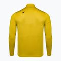 Vyriški termoaktyvūs marškinėliai 4F BIMD030 lemon 3