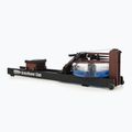 Vandens irkluotojas WaterRower Performance SR Club Uosis 3