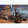 Vandens irkluotojas WaterRower Performance SR Club Uosis 15