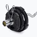 Gipara Fitness Iron Pump treniruočių rinkinys 27.5kg juodas 8884 2