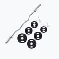 Gipara Fitness Iron Pump treniruočių rinkinys 27.5kg juodas 8884 4
