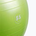 Gipara Fitness žalias gimnastikos kamuolys 3141 55 cm 2