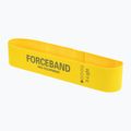Medžiaginių mankštos juostų rinkinys FORCEBAND Mini Band 5 vnt. + E-BOOK multicolor 3