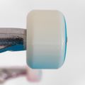 Klasikinė riedlentė Fish Skateboards Pro Paul 8.25" 7