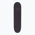 Klasikinė riedlentė Fish Skateboards Pro Brain Vacation 8.0" 2