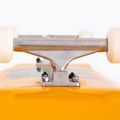 Klasikinė riedlentė Fish Skateboards Beginner Superior 8.0" 5