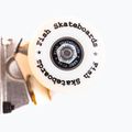 Klasikinė riedlentė Fish Skateboards Beginner Superior 8.0" 7