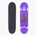 Klasikinė riedlentė Fish Skateboards Beginner Huron 8.0"