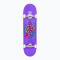 Klasikinė riedlentė Fish Skateboards Beginner Huron 8.0" 3