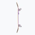 Klasikinė riedlentė Fish Skateboards Beginner Huron 8.0" 4