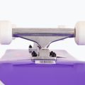 Klasikinė riedlentė Fish Skateboards Beginner Huron 8.0" 5