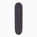 Klasikinė riedlentė Fish Skateboards Pro Forum 8.0" 2