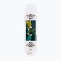 Klasikinė riedlentė Fish Skateboards Pro Forum 8.0" 3
