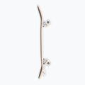 Klasikinė riedlentė Fish Skateboards Pro Forum 8.0" 4