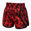 Treniruočių šortai Octagon Legion Kickboxing/Muay Thai Premium blodline 2