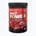 Prieš treniruotę MONDOLAB Nalt Power Cherry Up 300g cherry MND009