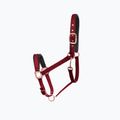 FERA Equestrian Basic arklių pakinktai raudoni 4.15.