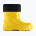 Vaikiški lietaus batai Dry Walker Jumpers Snow Mode yellow 2