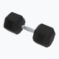 XTREXO Hex HXD250 gumuoti hanteliai 25 kg