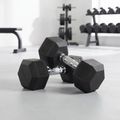 XTREXO Hex HXD250 gumuoti hanteliai 25 kg 3