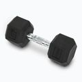 XTREXO Hex HXD100 gumuoti hanteliai 10 kg