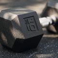 XTREXO Hex HXD100 gumuoti hanteliai 10 kg 11