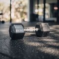 XTREXO Hex HXD100 gumuoti hanteliai 10 kg 12