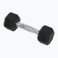 XTREXO Hex HXD25 gumuoti hanteliai 2,5 kg