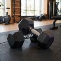 XTREXO Hex gumuoti hanteliai 12,5 kg 3