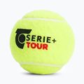 Teniso kamuoliukai Tretorn Serie+ Tour 18 x 4 vnt. 2